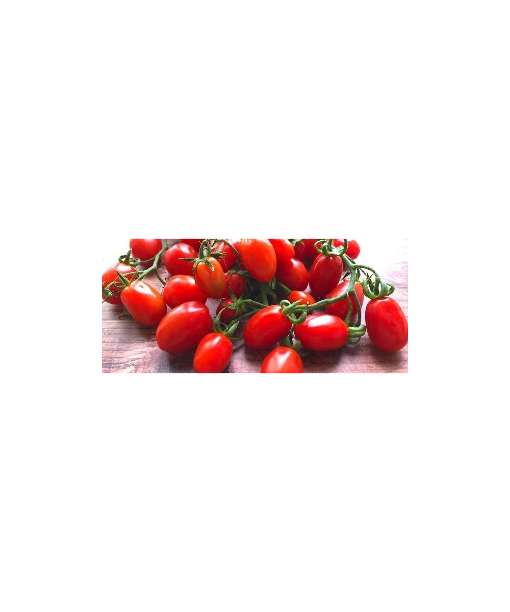 Sizilianische Siccagno-Datterino-Tomatensauce von 410 g