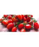 Sicilian Siccagno datterino tomato sauce