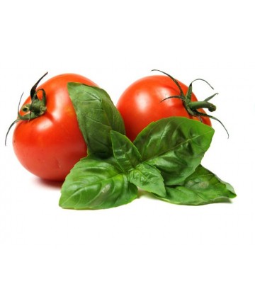 Basilikum und Siccagno-Tomate