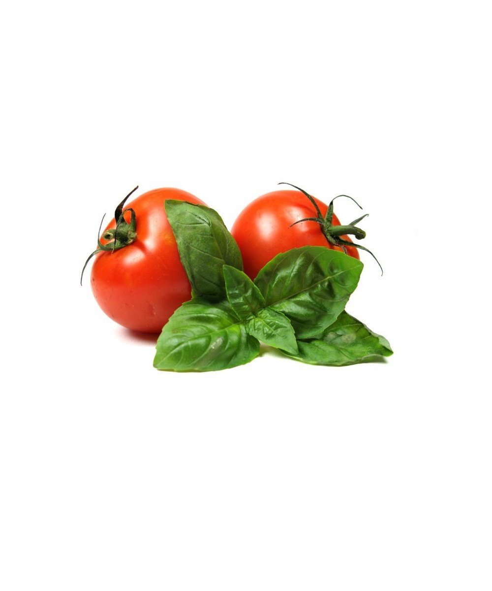 Fertigsauce mit 410g Siccagno-Tomaten-Basilikum